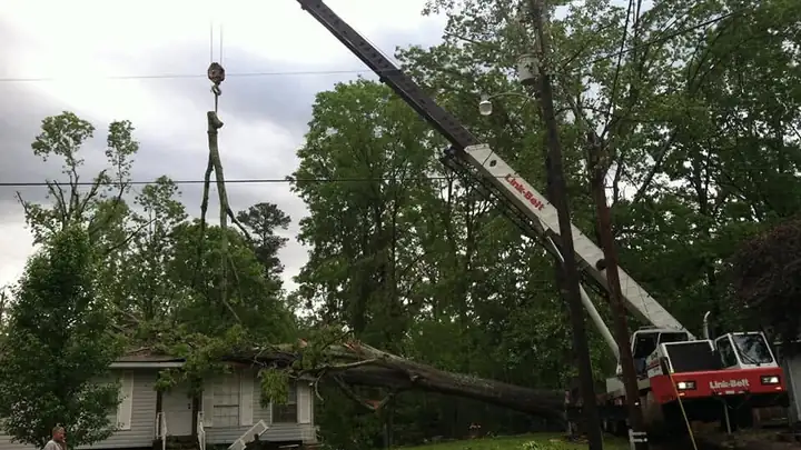Crane lifting a section of a fallen tree off a house