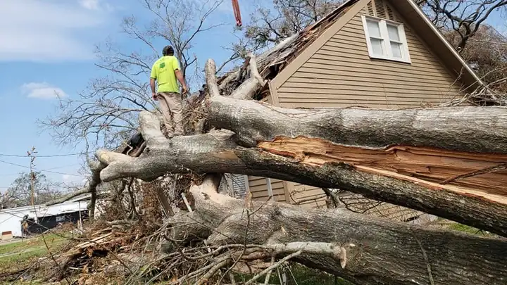 Crew member standing on a large tree that fell onto a house