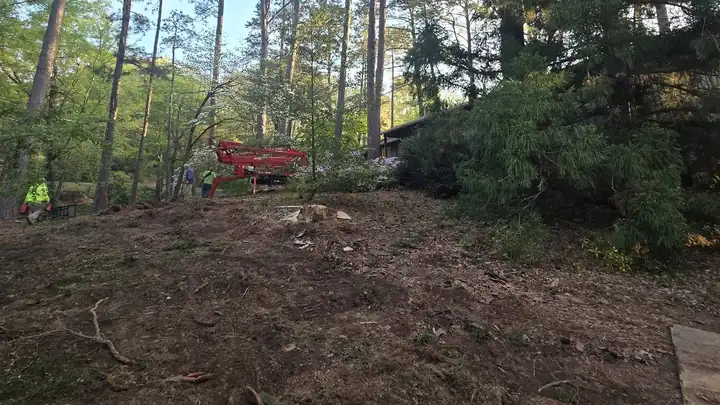 Wooded lot cleared to bare dirt with equipment in the background