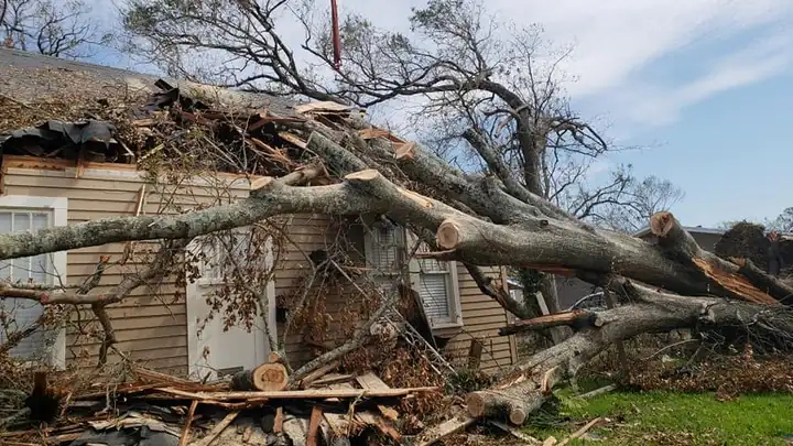 Storm-damaged home with a fallen tree across the roof