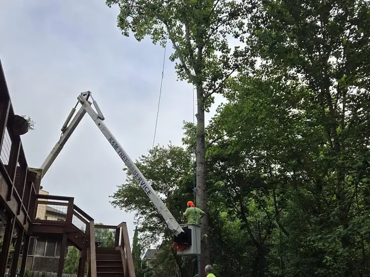 Bucket truck