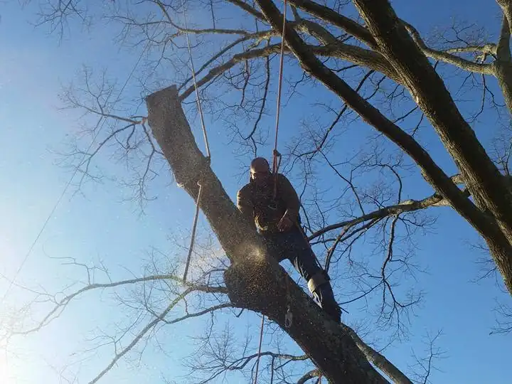 Climber taking a trunk down in sections