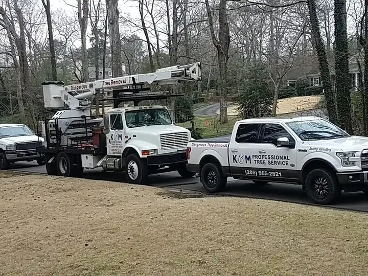 K&M trucks lined up, bucket truck included