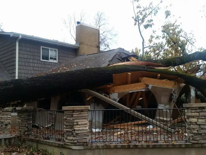 Tree down on a front porch
